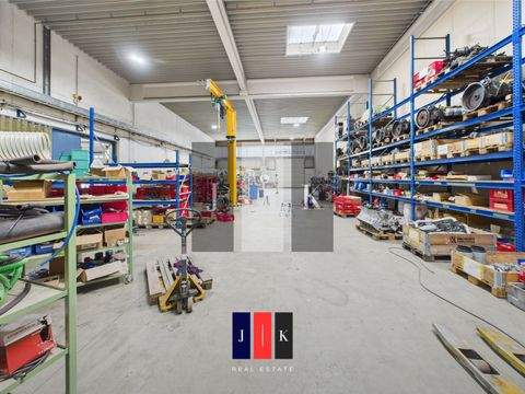 Ahrensburg Halle, Ahrensburg Hallenfläche