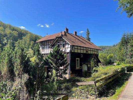 004020156800_302_299_12092023153449618