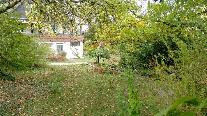 Blick von Westen 2.jpg