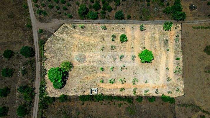 ca5ba33246724387b46509ae2fdff5c4-original