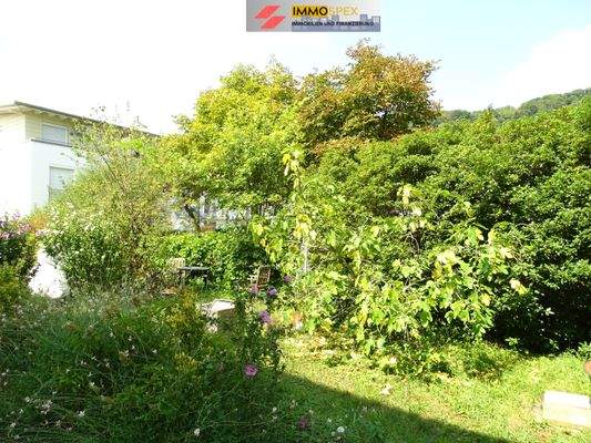 Wohnung in Grenzach8.jpg