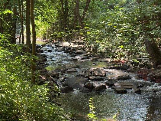 Erholung am Pleisbach