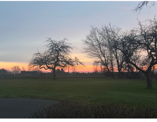 f558ed00-55c6-4c14-90d1-a9c1a2a08018