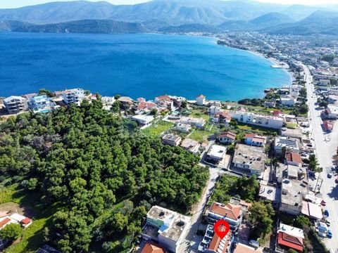 Saronikos - Korinth Wohnungen, Saronikos - Korinth Wohnung kaufen