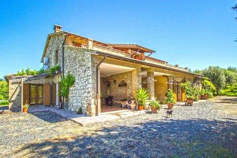 cinigiano Häuser, cinigiano Haus kaufen