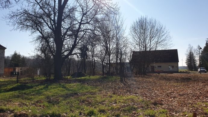 Grundstück Blickrichtung Süd