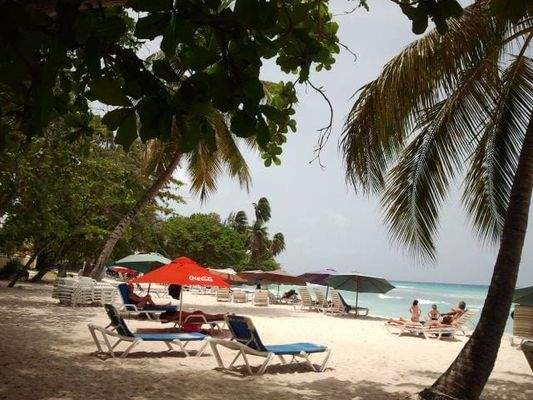 WhatsApp Image 2025-07-24 at 14.49.29 (2)