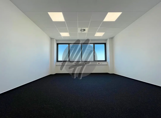 INFOS UNTER: 06171-586000