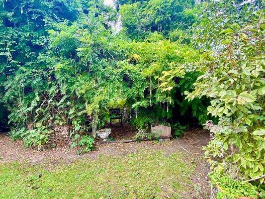 Lauschiges Plätzchen