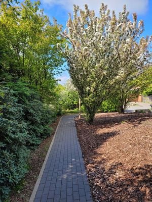 40_Blick_auf_Straße