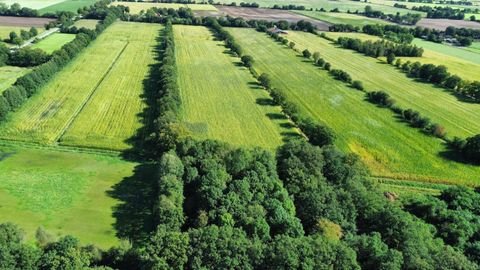 Nordhorn Bauernhöfe, Landwirtschaft, Nordhorn Forstwirtschaft