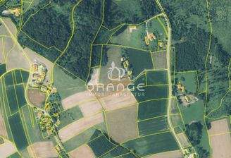 Luftbild + Parzellenkarte