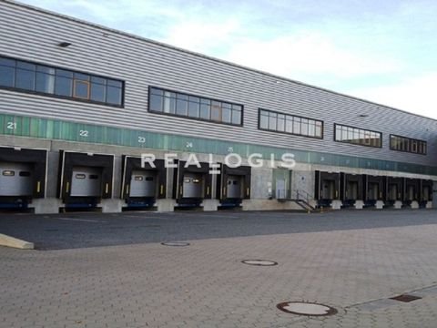 Rangsdorf Halle, Rangsdorf Hallenfläche