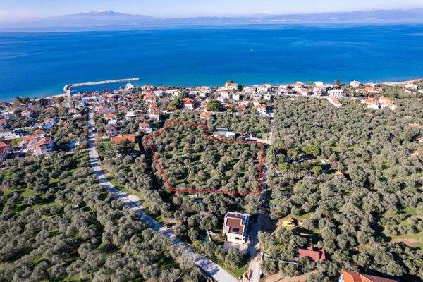 Olive Residence 12-12-2023-4.jpg