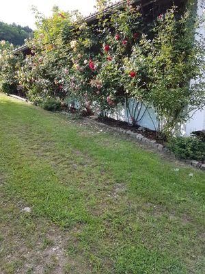 Weg neben Haus