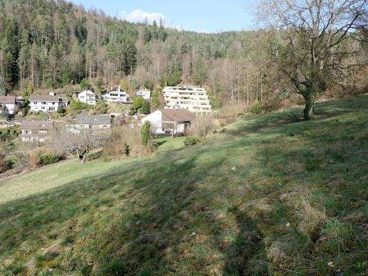 Blick über die Grundstücke zum Haus
