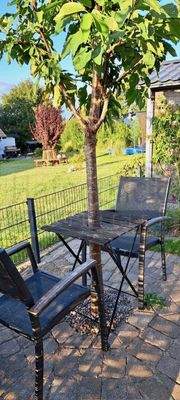 Sitzplatz mit Baum