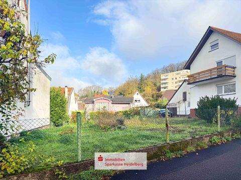 Nußloch Grundstücke, Nußloch Grundstück kaufen