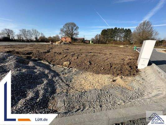 Titelbild - Lütt Immobilien 6