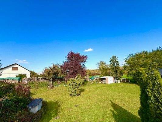 Blick in den Garten Bild 1