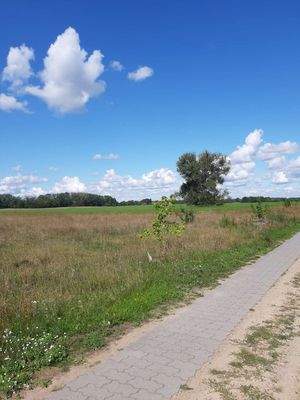 Blick über Wiesen und Felder