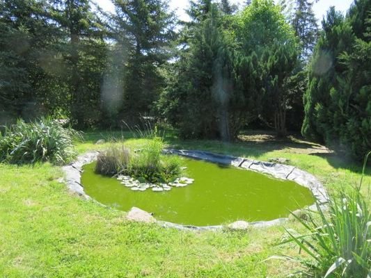 Vorhandener Gartenteich
