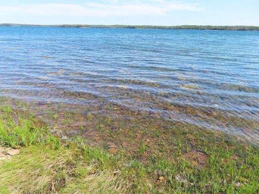 Cape Breton - Einzigartige Atlantik-Lage - 31 Hekt