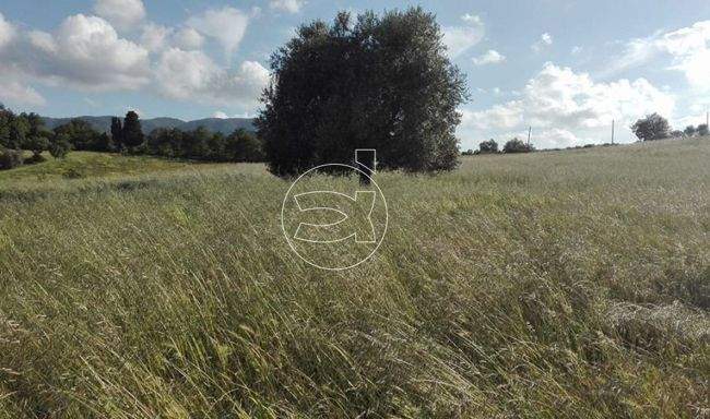 Repräsentatives Anwesen | Borgo San Lorenzo