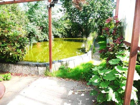 Teichanlage im Garten