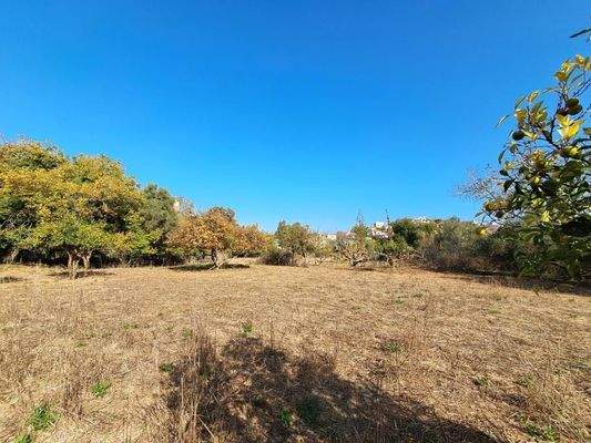 Kreta, Armeni: Erstklassiges Baugrundstück mit Bergblick, Obstgarten und Strandnähe