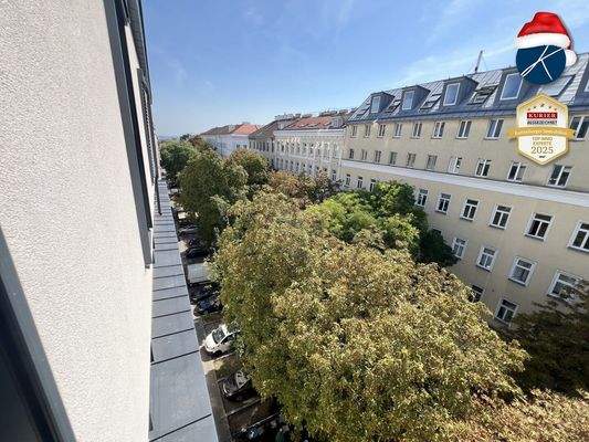 Über den Kastanienbäumen