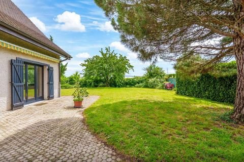 Borex Häuser, Borex Haus kaufen