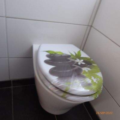 Hänge-WC