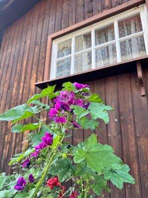 ...und Blumen die zum Leben gehören.