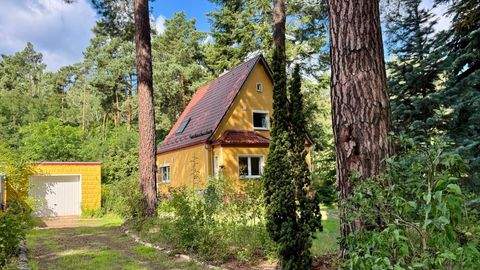 Michendorf Häuser, Michendorf Haus kaufen