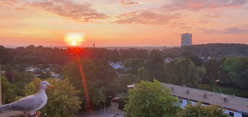 Aussicht_Balkon.jpg