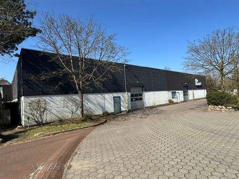 Seevetal Halle, Seevetal Hallenfläche