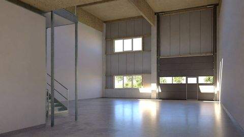 Antau Halle, Antau Hallenfläche