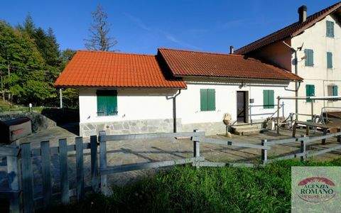 Urbe Häuser, Urbe Haus kaufen