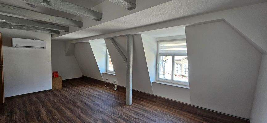 Spacious Apartment Room