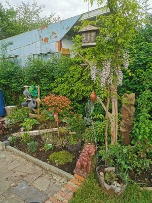 Garten 3.jpg