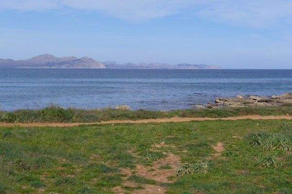 Erste Meereslinie – Ihr Traumprojekt beginnt hier