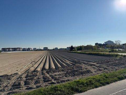 Limburgerhof Bauernhöfe, Landwirtschaft, Limburgerhof Forstwirtschaft