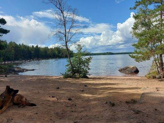 Umgebung - Hinsjön Strand