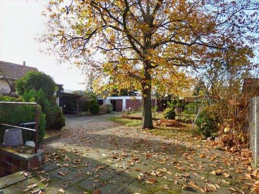 Hof - Blick in Garten