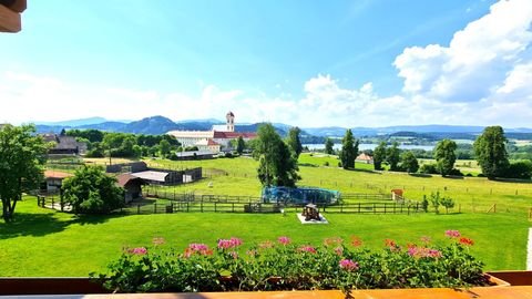 St. Georgen am Längsee Wohnungen, St. Georgen am Längsee Wohnung mieten