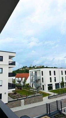 20250603 BUL EF (5).jpg