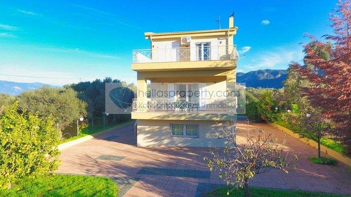 0659dc9475484157b0fe113e594a5299-original