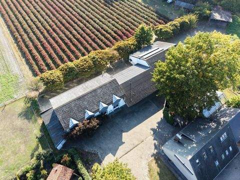 Wagenfeld Häuser, Wagenfeld Haus kaufen