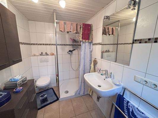 Das Badezimmer im EG